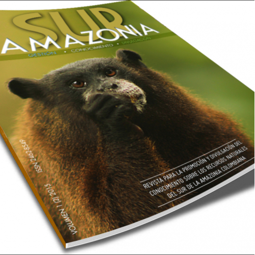 Sur Amazonia Magazine