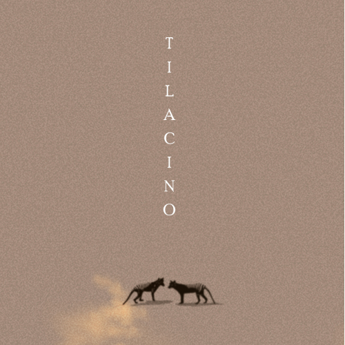 TILACINO short
