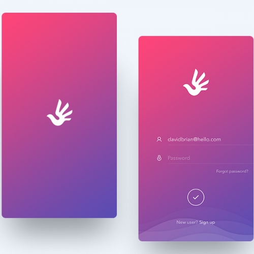 Splash and Login screens