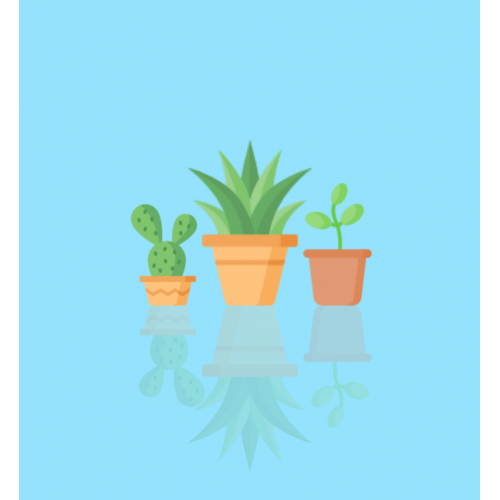 Growth