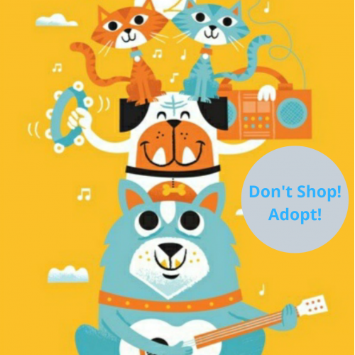 Don't shop! Adopt! Have a new family member!