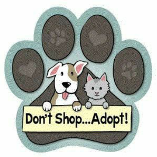 Rehome a life!