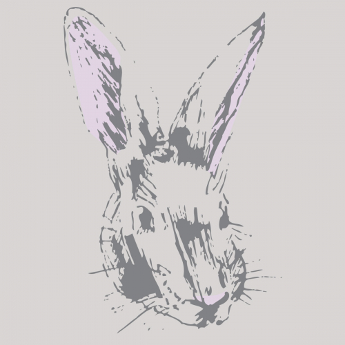 wind in the willows rabbit