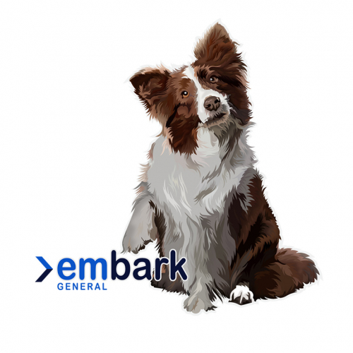 Mascot logo