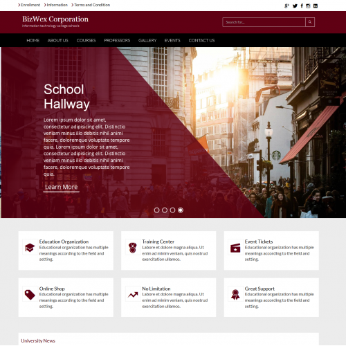 School Website thumb