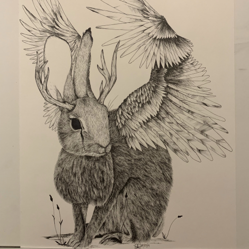 Rabbit Morph thumb