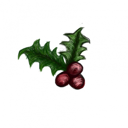 Christmas common Holly