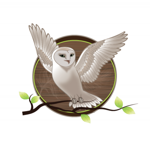 Magic Owl
