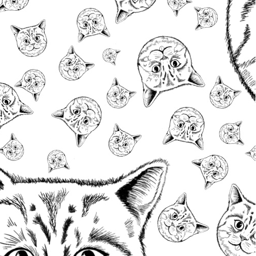 MEOW KITTY Print