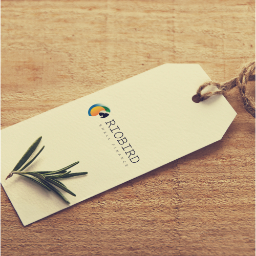 Rio bird small finance logo design thumb