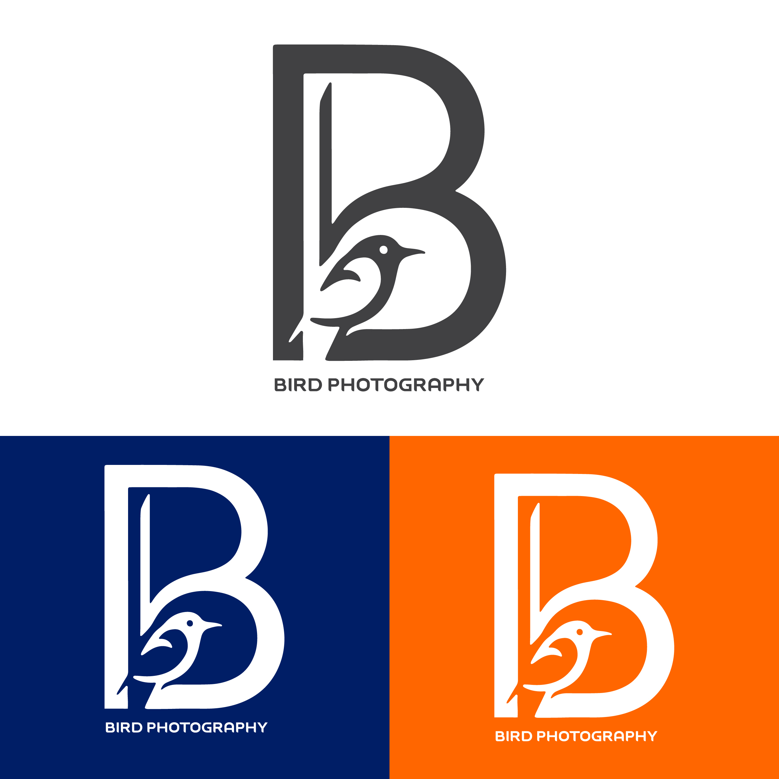 Letter B for Bird Logo design