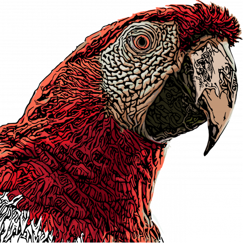 parrot head vector illustration thumb