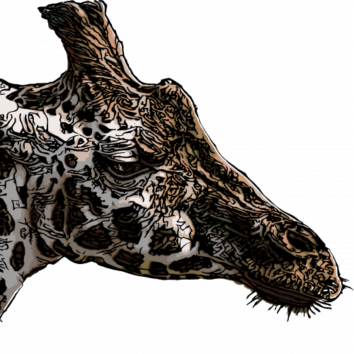 giraffe head vector illustration thumb