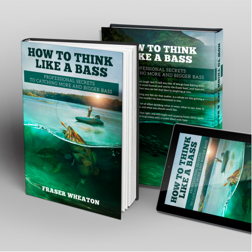 Book Cover 4