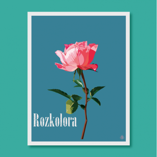 Rozkolora #3
