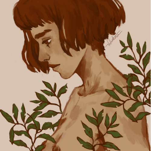 Into the woods