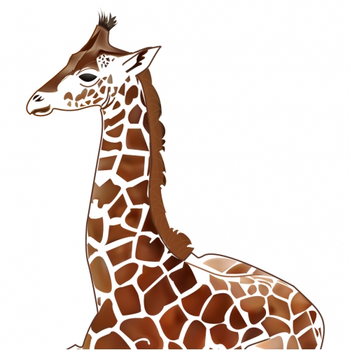 Graphic illustration