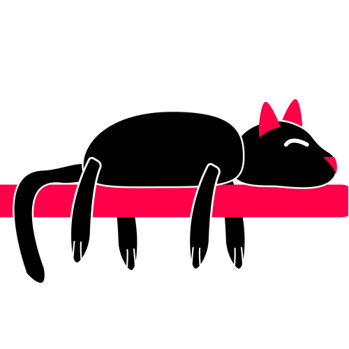 Lazy cat