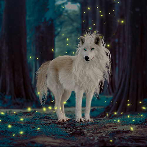White wolf