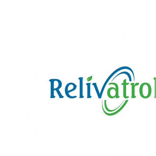 VB Business Logo Design