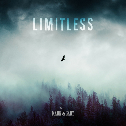 Limitless Podcast Cover