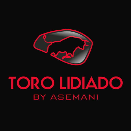 Toro Lidiado