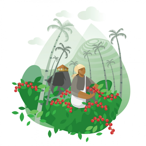 Coffee illustration