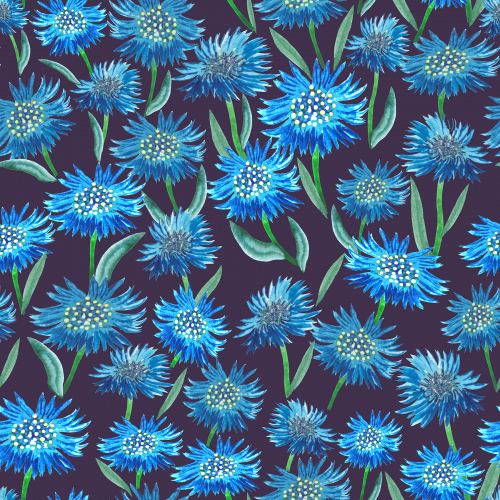 Field of Cornflowers. Beautiful flowers. Seamless pattern. Print thumb