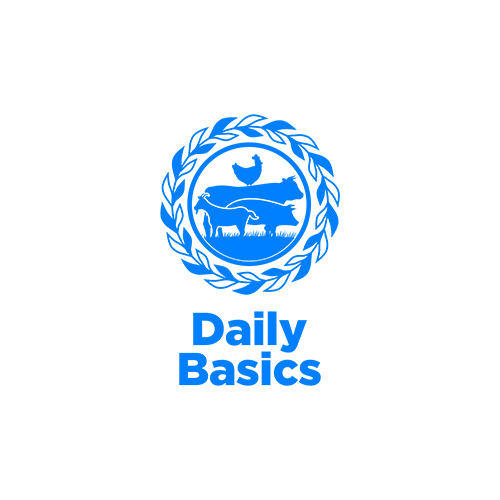 DAILY BASICS