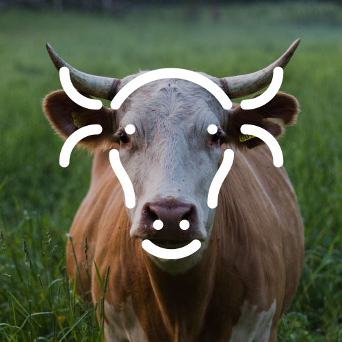 cow head logo thumb