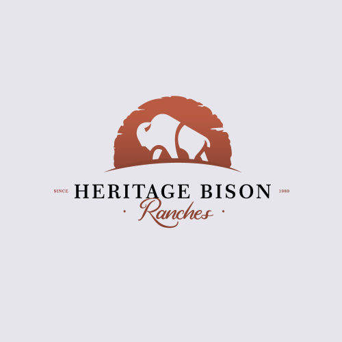 Heritage Bison Logo Design