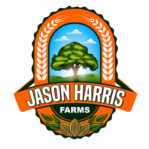 Jason logo thumb