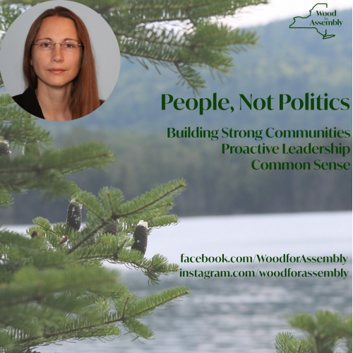 Evelyn Wood political campaign/social media