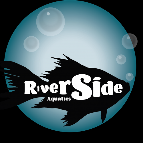 Submission for Riverside Aquatics logo design