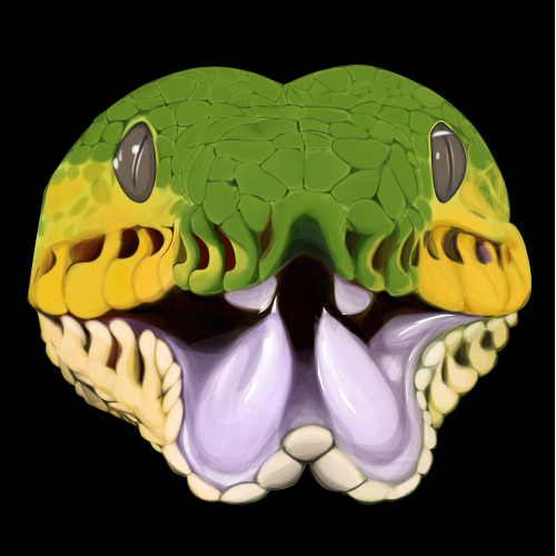 head snakes