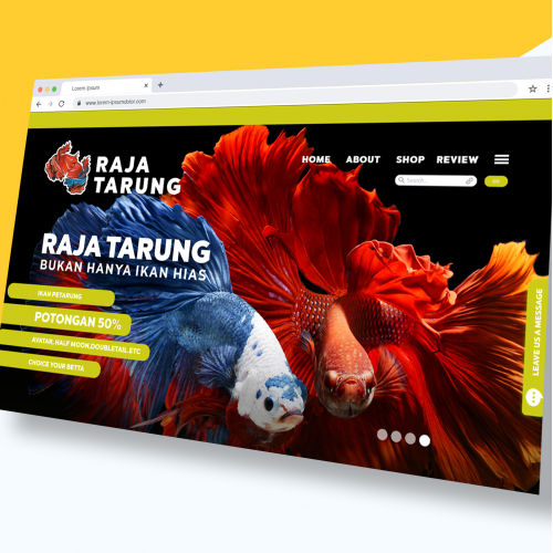 user interface design betta fish
