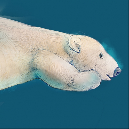 illustration