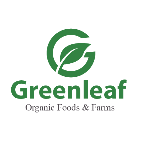 GreenLeaf - Minimalist Organic Brand Identity