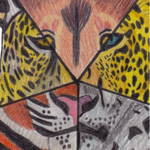 Big Cats