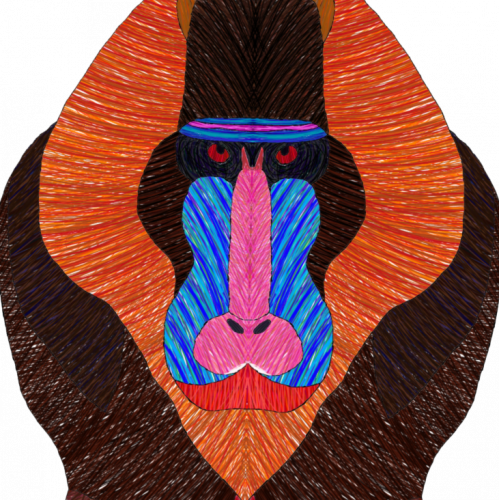 Mandrill