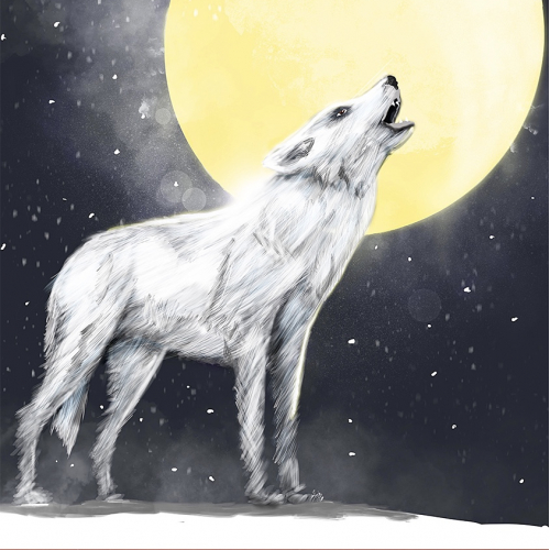 Howl