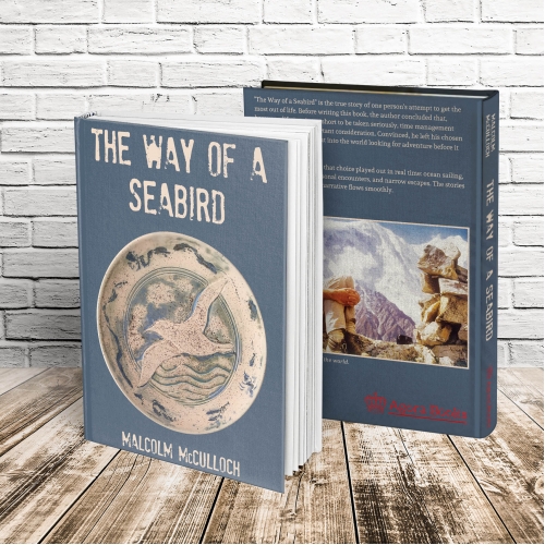 THE WAY OF A SEABIRD COVER