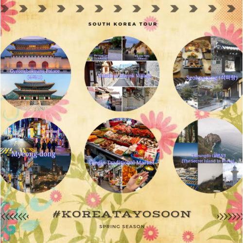 Korea Tayo Soon