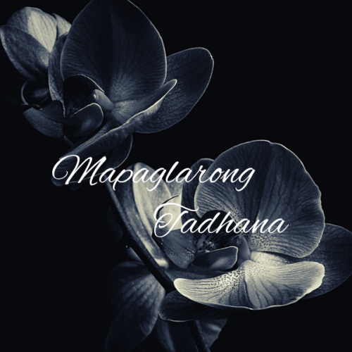 Wattpad or Book Cover