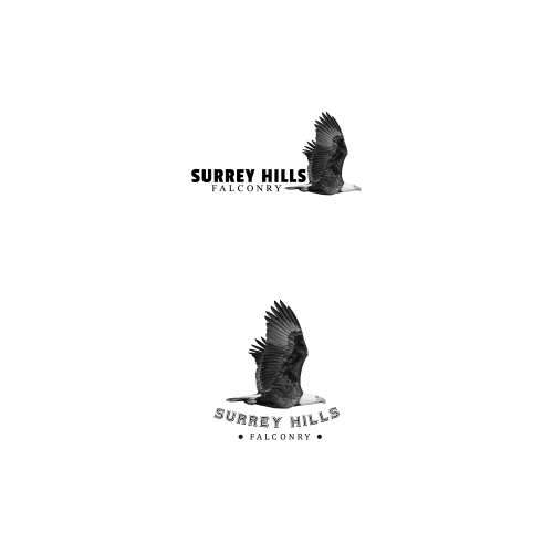 Surrey Hills Falconry Logo