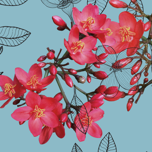 Red Real Flowers