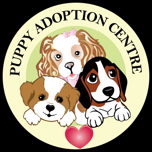 Puppy Adoption