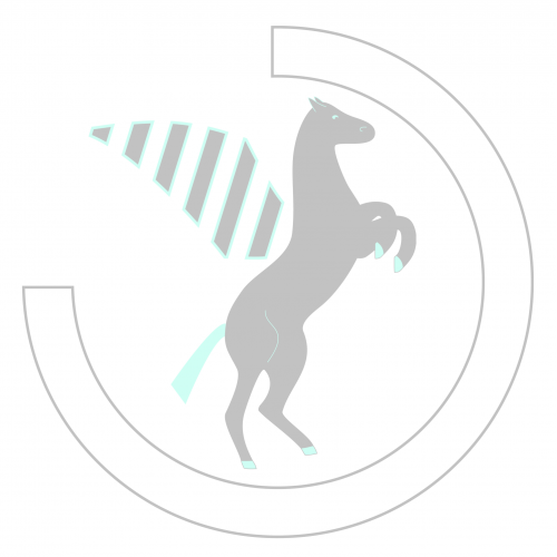 Pegasus Ventures