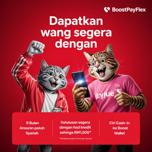 Get Instant Cash with BoostPayFlex