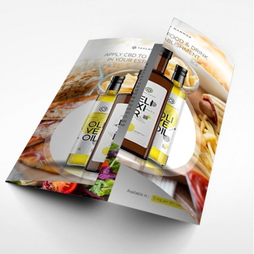 Brochure Design